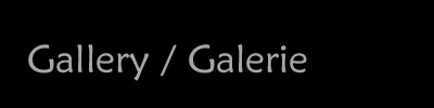 Gallery / Gallerie